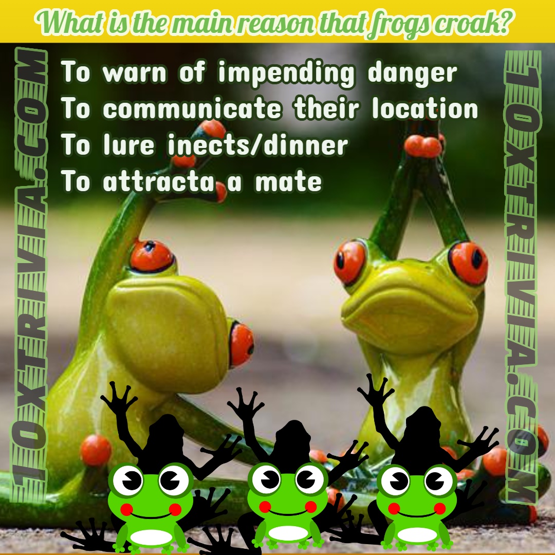 why do frogs croak?